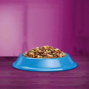 Whiskas 1+ Tuna | Adult Cat Dry Food