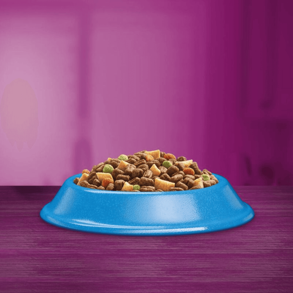 Whiskas 1+ Tuna | Adult Cat Dry Food