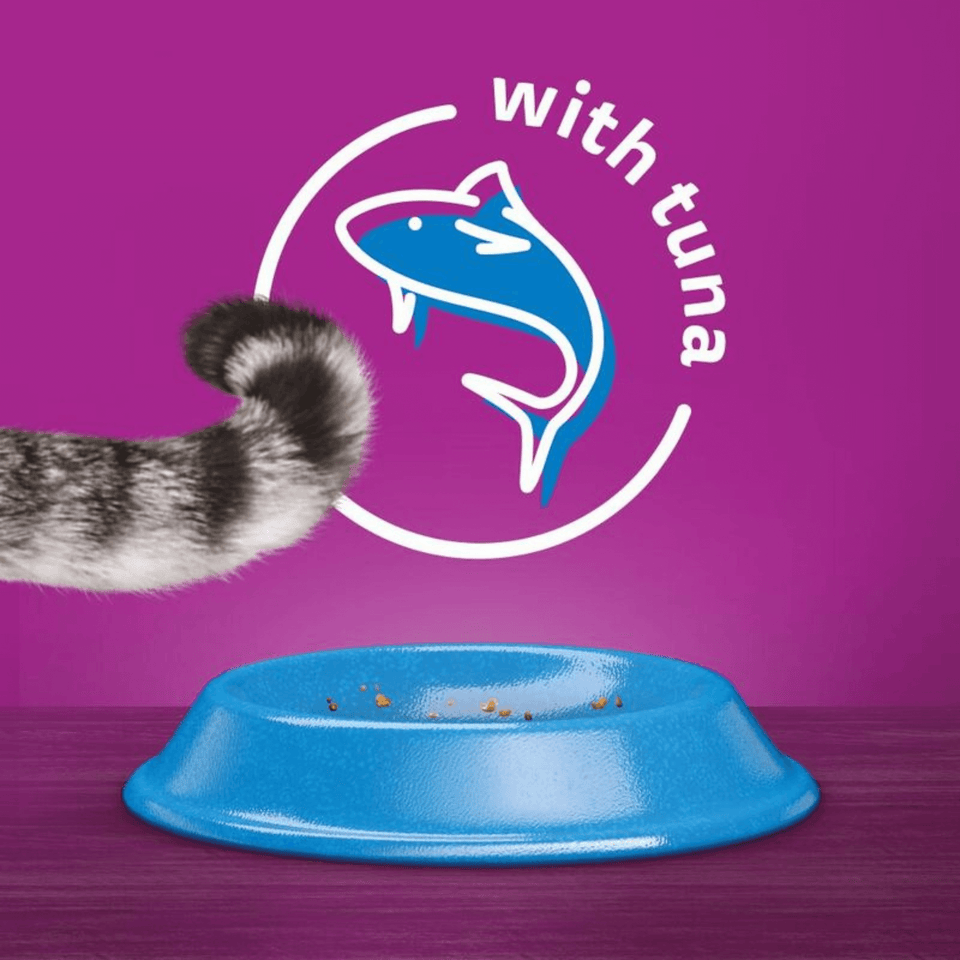 Whiskas 1+ Tuna | Adult Cat Dry Food