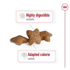 Royal Canin Mini Adult Dog Food | For Small Breeds
