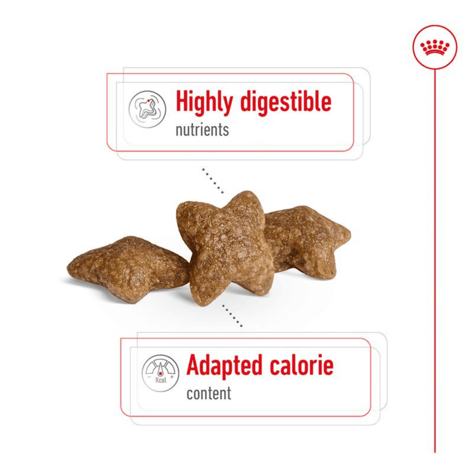 Royal Canin Mini Adult Dog Food | For Small Breeds