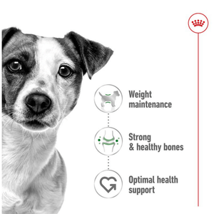 Royal Canin Mini Adult Dog Food | For Small Breeds