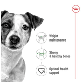 Royal Canin Mini Adult Dog Food | For Small Breeds