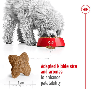 Royal Canin Mini Adult Dog Food | For Small Breeds