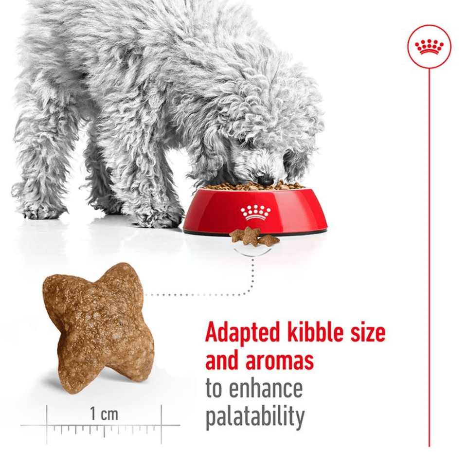 Royal Canin Mini Adult Dog Food | For Small Breeds