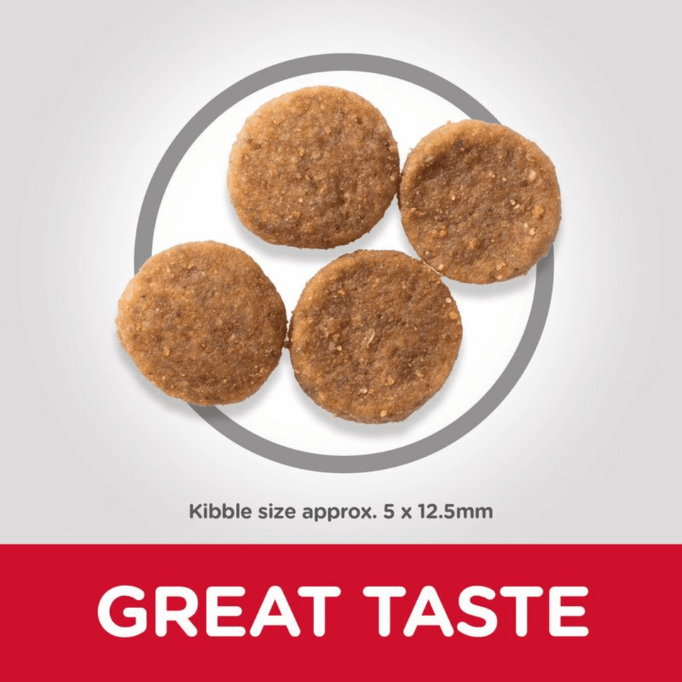 Hill’s Adult Medium Dog Food – Chicken (1–6 Years)