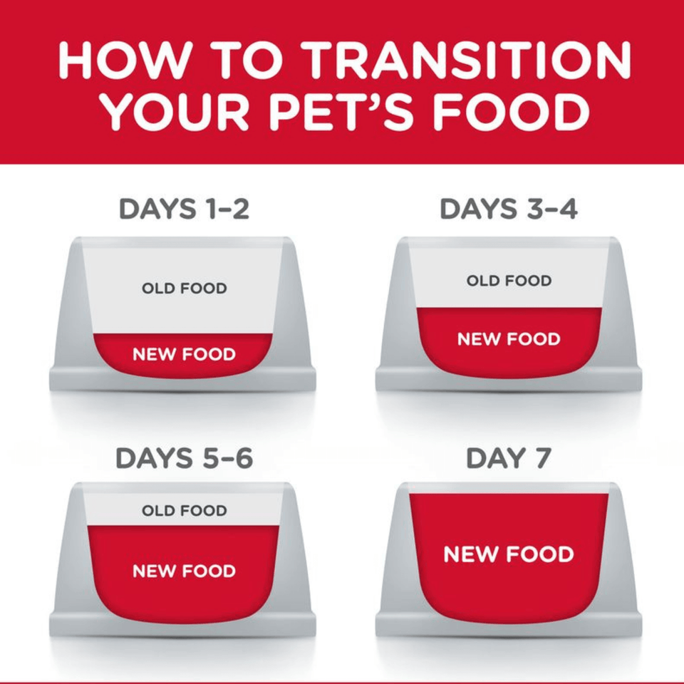 Hill’s Adult Medium Dog Food – Chicken (1–6 Years)