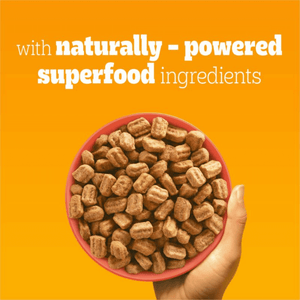 Pedigree Adult Dog Food | Beef & Vegetables
