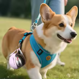 Portable Stainless Steel Dog Water Bottle with Foldable Cup